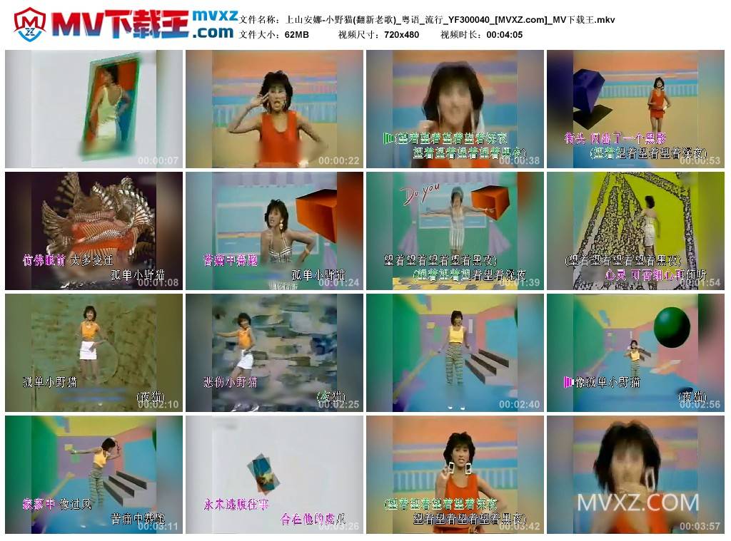 上山安娜-小野猫(翻新老歌)_粤语_流行_YF300040
